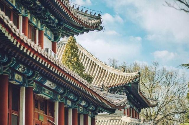 北大心理学家：父母和孩子说话时，多用这5种语气，孩子一生受益