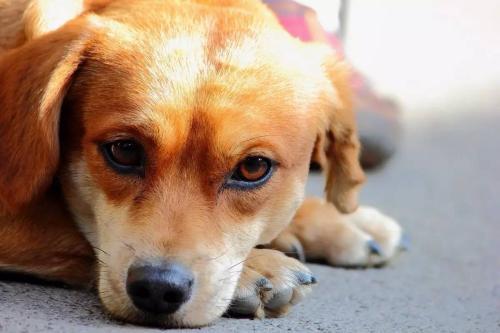 心理学家：你之所以一事无成，是因为一个坏习惯