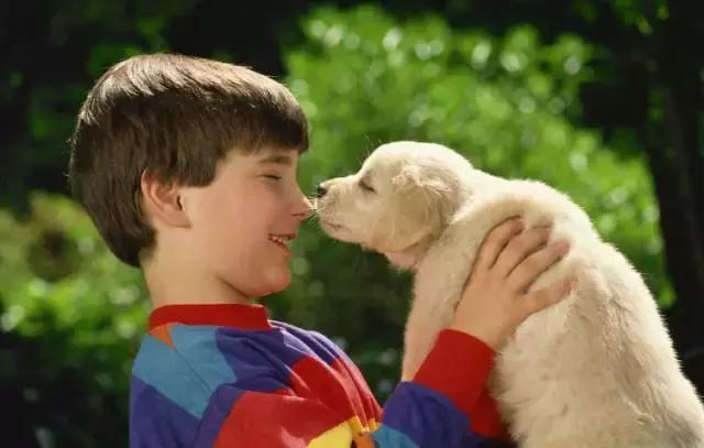 如何培养出一个心理阳光的孩子？家长们早点看到就好了……