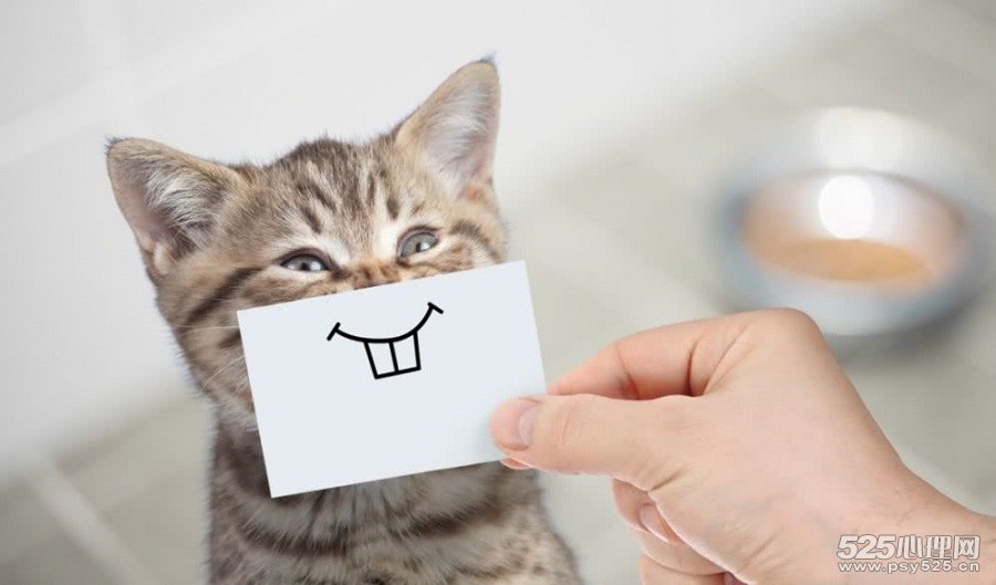 出丑效应——犯点错也能提升好感度